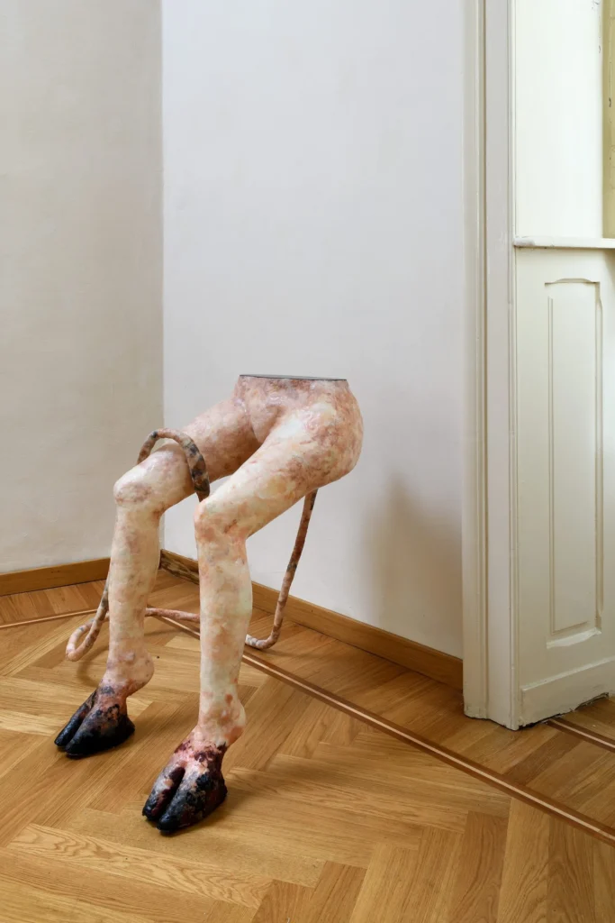 PEL_2943-scaled