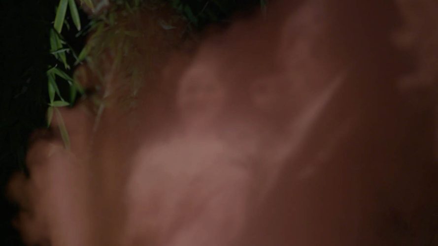 02 Santa Selva, Novate 2