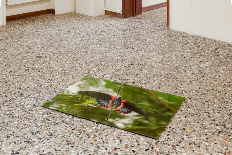 2511_TESTORI_NEVER ALONE_4866