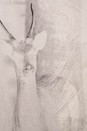 2511_TESTORI_NEVER ALONE_4892