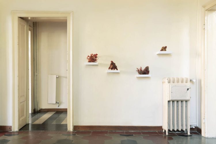 Appocundria, Casa Testori, 2019 © Maki Ochoa-21