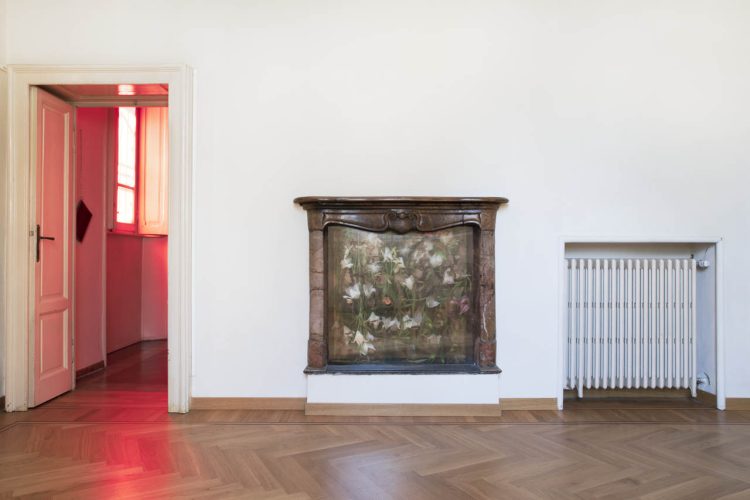 Appocundria, Casa Testori, 2019 © Maki Ochoa-23