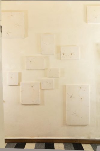 IMG_1897