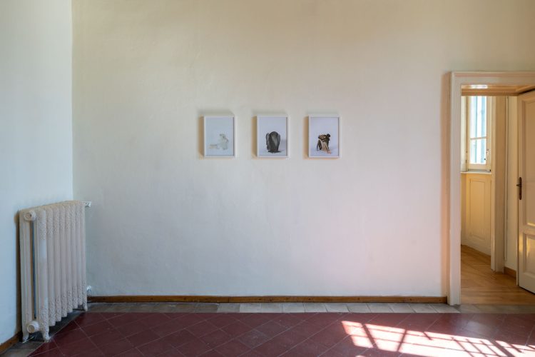 LaPrimaVolta_FotoDiegoMayon_LowRes_48