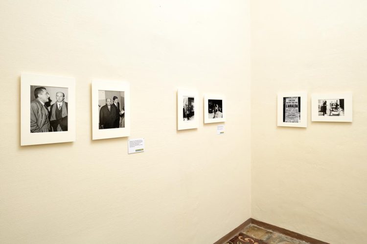 PEL_1125