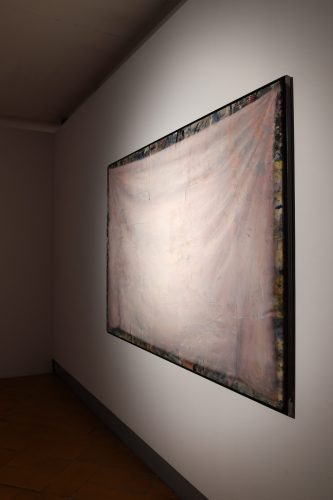 PEL_3521