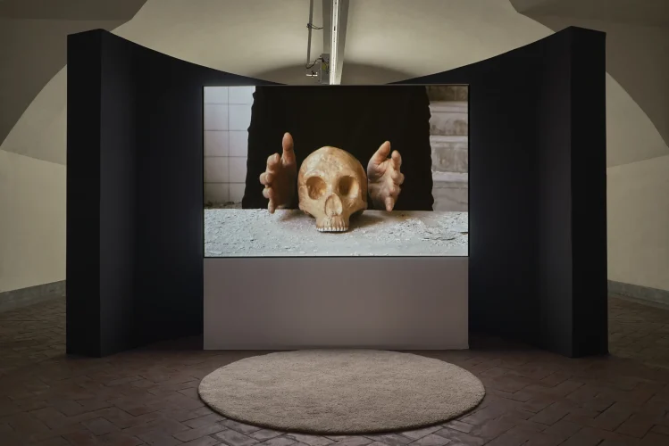 abramovic-press-WEB©scalco-_DSC4911