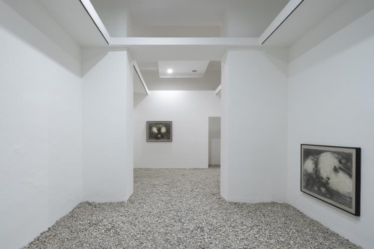 colorificio-1