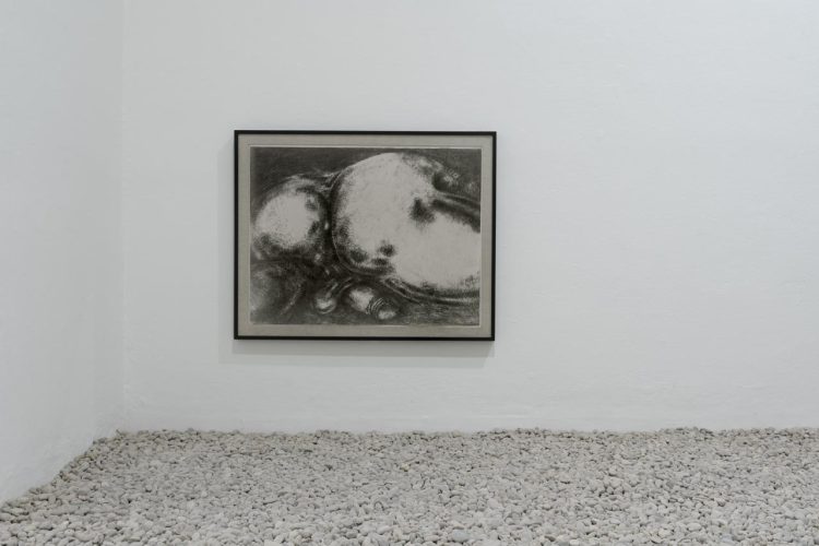 colorificio-7