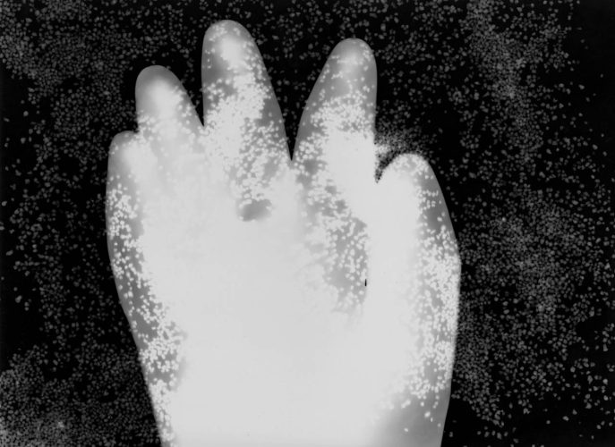 rayogramma l'ouvert 01