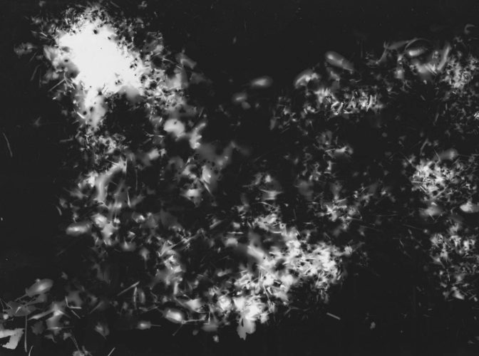 rayogramma l'ouvert 03