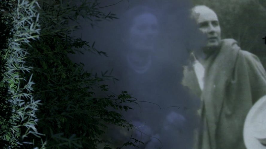 still santa selva